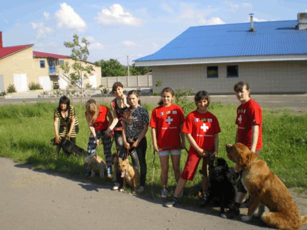 Дрессировка собак Макеевка, Донецк и область