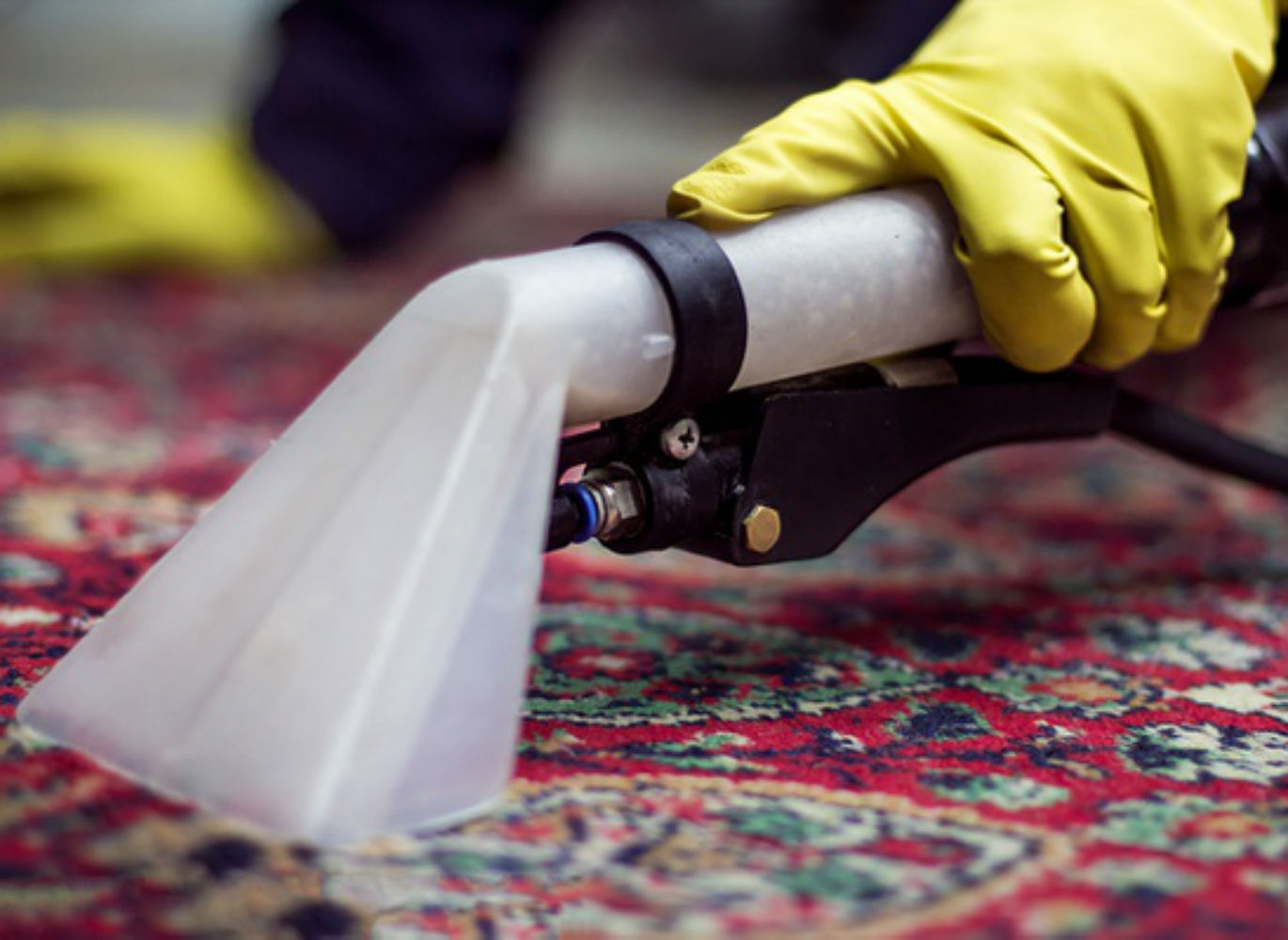 Профессиональная химчистка ковровых покрытий на дому